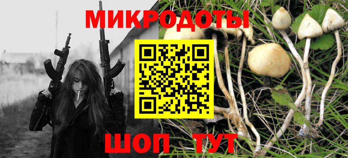Псилоцибиновые грибы Cubensis Минусинск