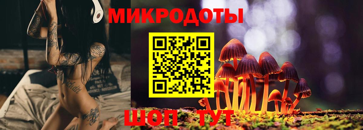 Галлюциногенные грибы GOLDEN TEACHER  Вход с VPN  Минусинск  Галлюциногенные грибы GOLDEN TEACHER 